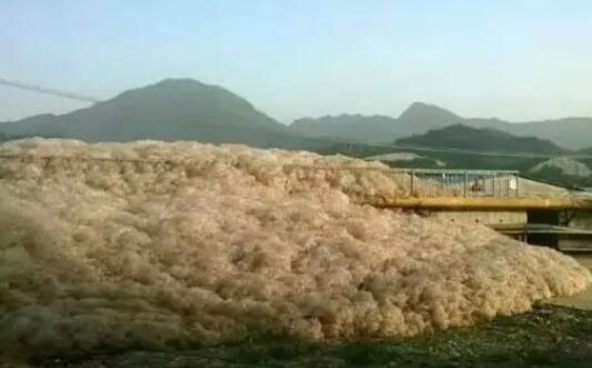 (圖:水處理起泡場(chǎng)景)