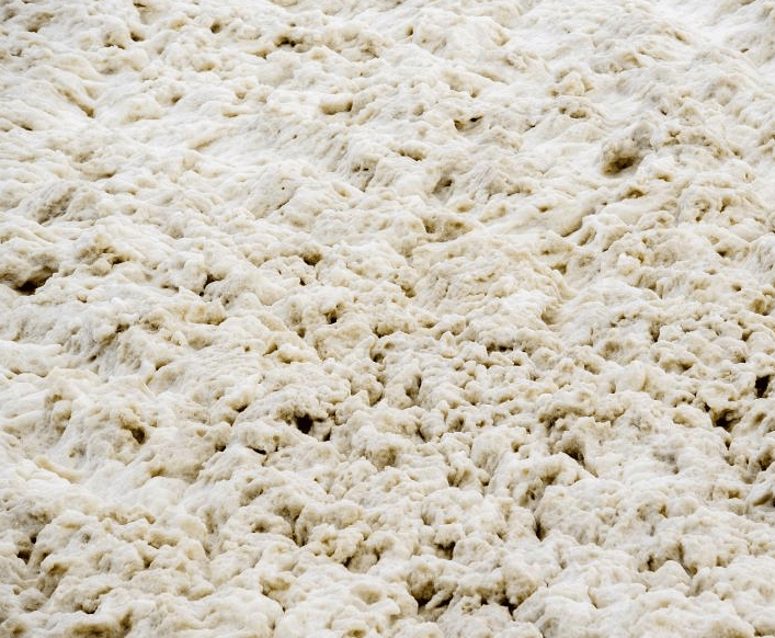 （圖：動物屠宰廢水泡沫危害）