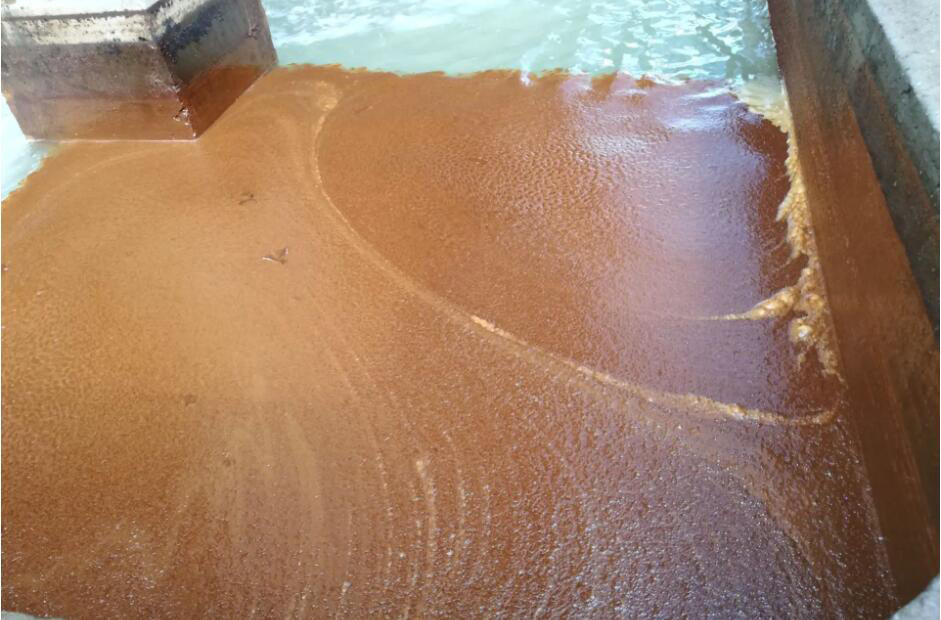 （圖：南輝水處理消泡劑應(yīng)用）